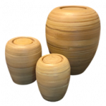 20251106_090250-Photoroom