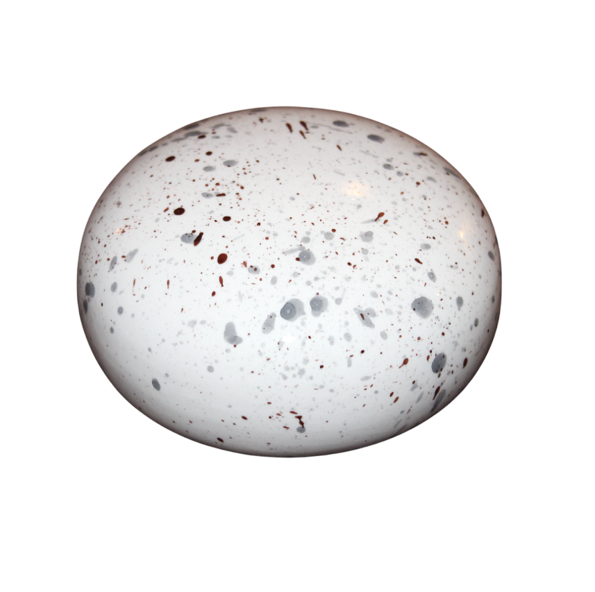 mouchete 2-Photoroom